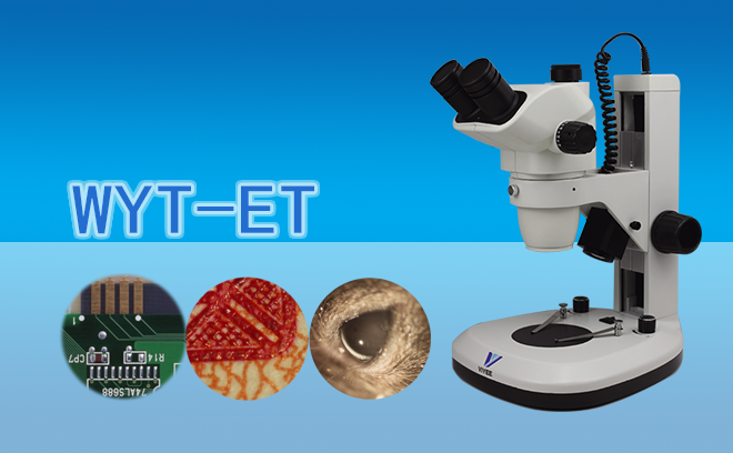 體視亚欧视频无码蜜桃.png 體視亚欧视频无码蜜桃.png