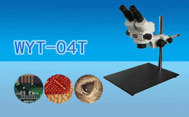 體視亚欧视频无码蜜桃.jpg 體視亚欧视频无码蜜桃.jpg