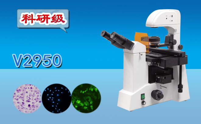 熒光亚欧视频无码蜜桃.png 熒光亚欧视频无码蜜桃.png