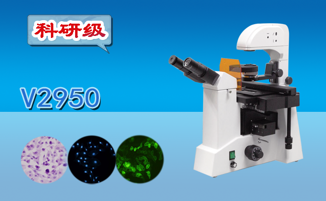 熒光亚欧视频无码蜜桃的使用方法是什麽？還不趕快收好這份使用手冊