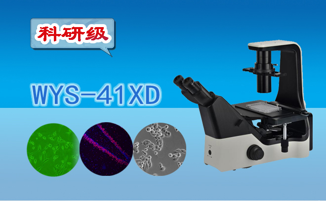 倒置生物亚欧视频无码蜜桃.jpg