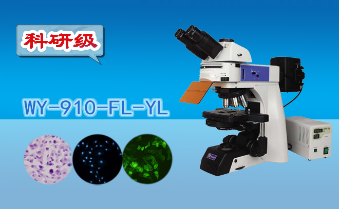 熒光亚欧视频无码蜜桃.png